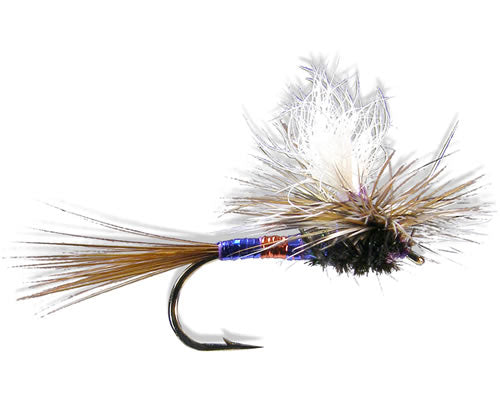 Para-Wulff - Patriot#12-14