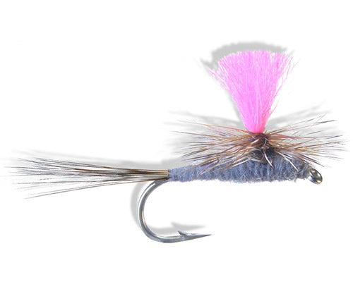 Hi-Vis Fl. Pink Chute - Adams
#10-20
