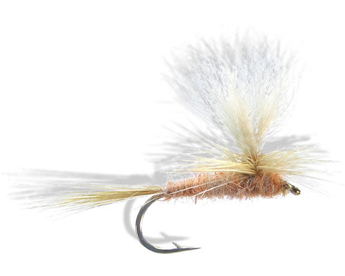 Parachute - Light Orange
#12-18