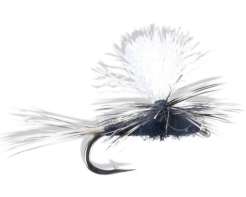 Parachute - Trico
#18-22