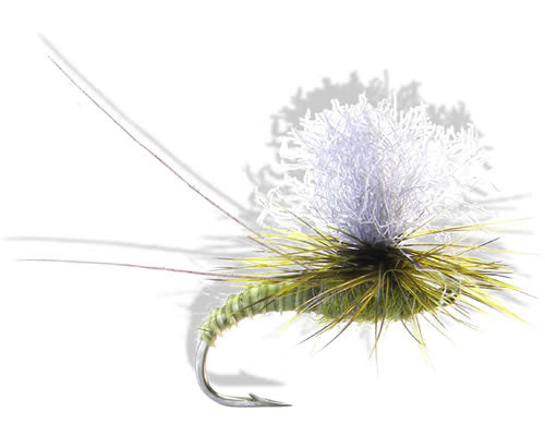 Christiaen's GT Adult - Green Drake
#10-12