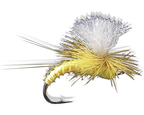 Christiaen's GT Adult - Sulpher/Sulphur
#14-16