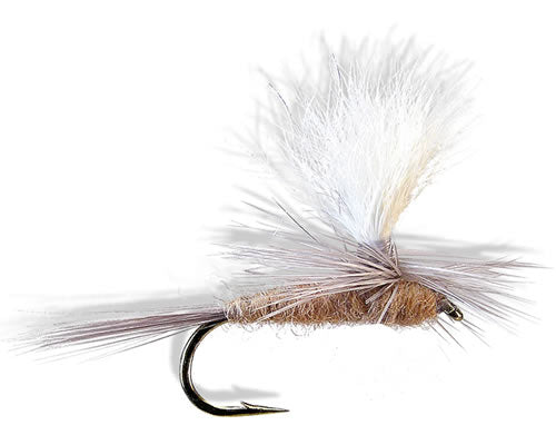 Parachute - Hendrickson
#12-16