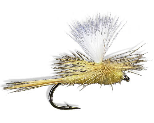 Parachute - Sulpher/Sulphur
#14-18