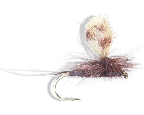 Trina's ParaTrooper - Brown Drake
#8 & 12