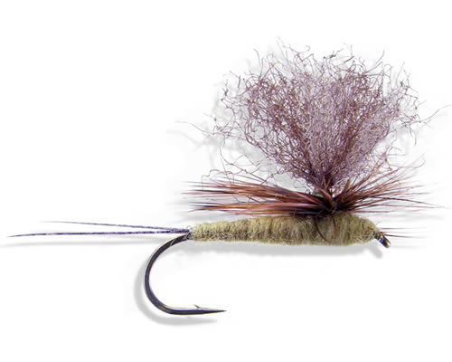 Parachute East Brown Drake
#10-12