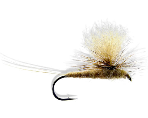 Parachute March Brown
#10-12