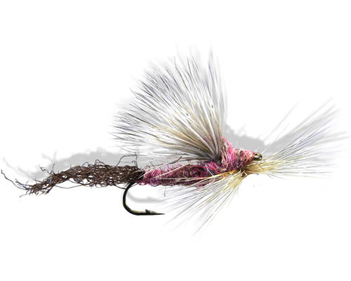 Weamer's Truform Comparachute™ - Hendrickson #14