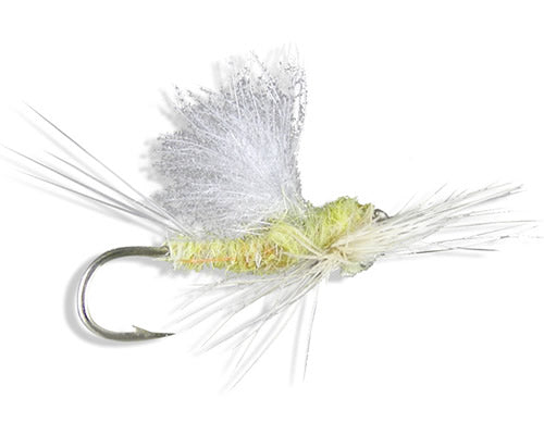 Weamer's Truform Dun - Sulpher/Sulphur
#14