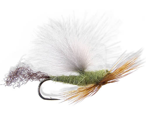Weamer's Truform Emerger - Olive Isonychia
#12