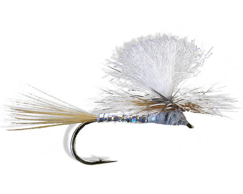 Silverman's Para Lightning Bug - Silver
#12