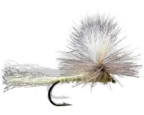 Moore's Para-Shuck - Flav
#14