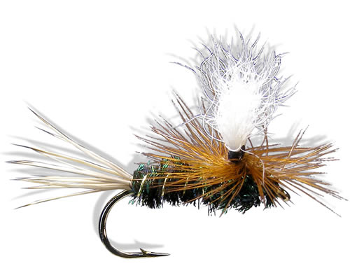 Para-Wulff - Peacock
#12 & 16