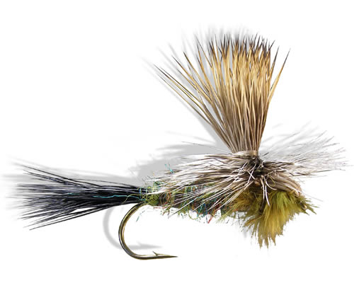 Clook's Beefcake - Green Drake
#12