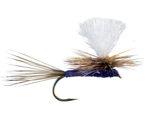 Carlson's Purple Haze (Poly Wing)