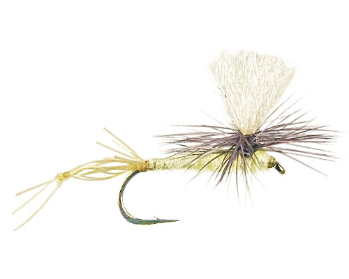 Gould's Shuckoff - PMD #14-16