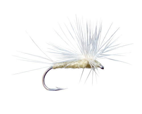 Swisher's Clumpa - PMD