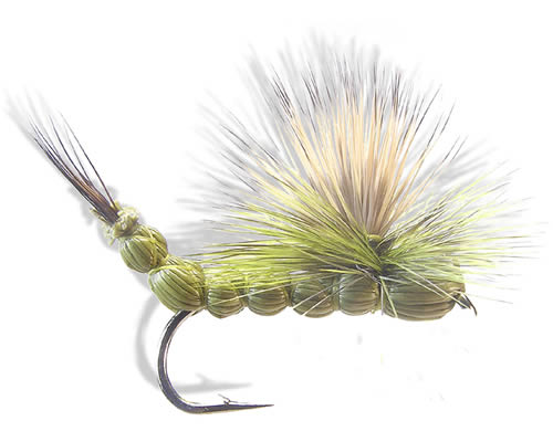 Ext Body Drake - Green
#10 & #12