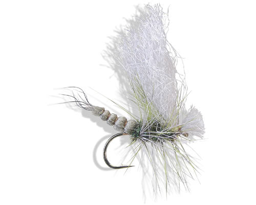 Furimsky's Foam - Green Drake
#8-12