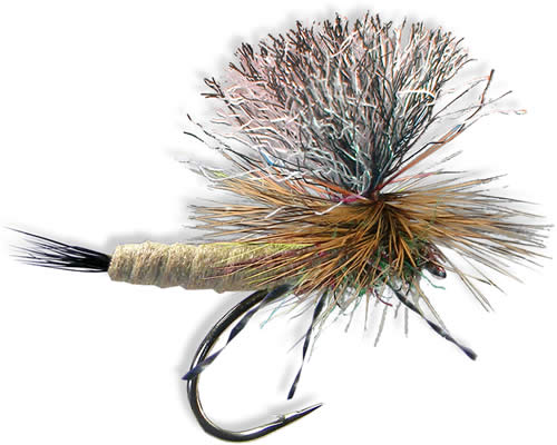 Trina's Carnage Drake™ - March Brown
#12-14