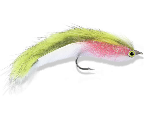 SRA Double Bunny Olive Chinchilla / White
#2-6