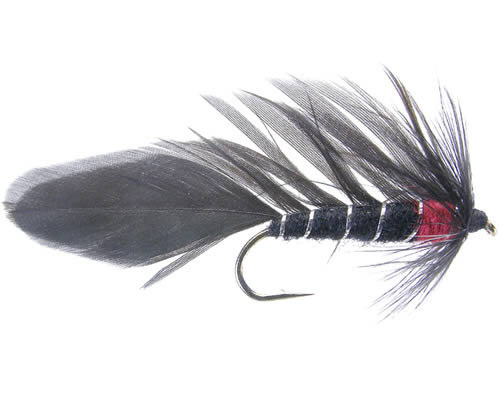 Black Matuka