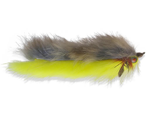 Double Bunny Yellow Money
#4