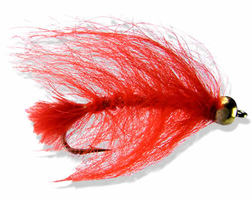 BH Mini-Leech - Red
#8-12