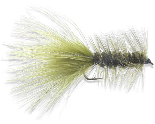Bugger - Olive
#4-10