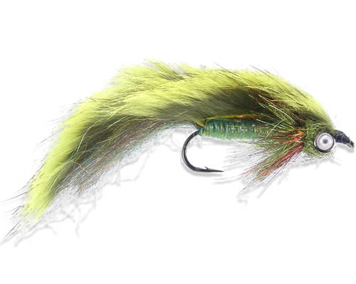 Kyle's Egghead - Olive
#6 & 8