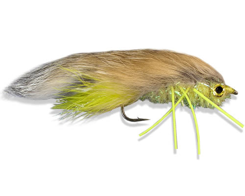 Kyle's Super Yummy - Yellow
#4-6