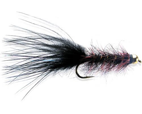 BH Rickards' Seal Bugger 1
#8-10