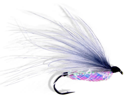 Rickards' Shiner Minnow 1 - Grey
#6