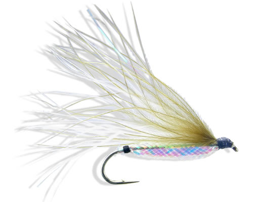 Rickards' Chub Minnow 1 Olive
#6 and 8