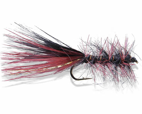 Rickards' Multi-tail Seal Bugger 2
#8-10