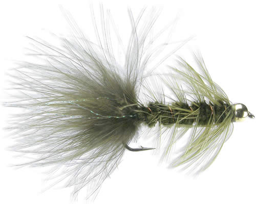 BH Woolly Bugger - Olive
#4-10