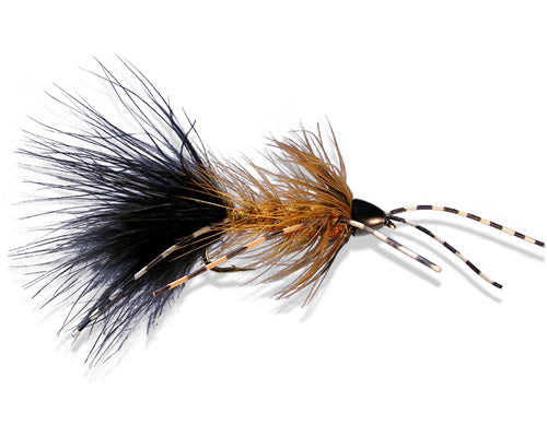 Trina's Conehead Bugger - Beeotch
#4-6