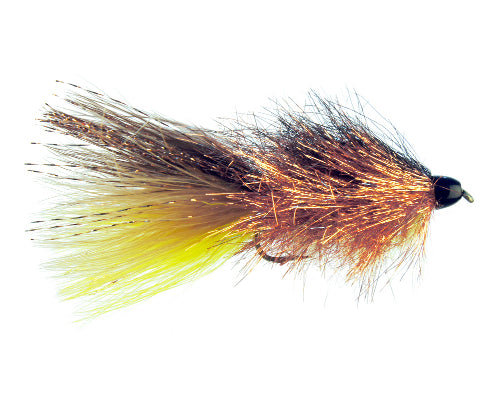 Coffey's CH Sparkle Minnow - JJ