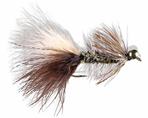 Wiese's PT Bugger
#6