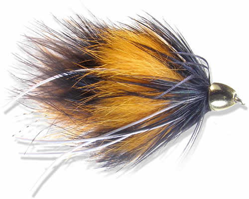 Phillippe's Flu-Shot - Burnt Orange / Black
#4
