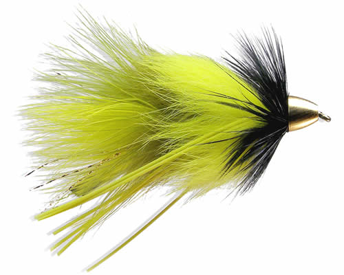 Phillippe's Flu-Shot - Yellow / Olive
#4