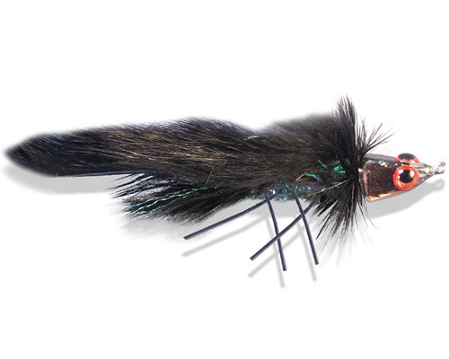 Trina's Big Head Todd - Black
#6