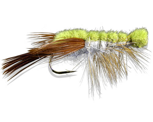 ClawsR Crawfish - Olive