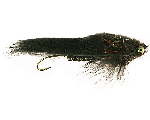 Wiese's Scleech - Black #04