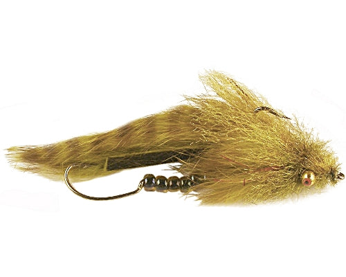 Wiese's Scleech - Olive #04