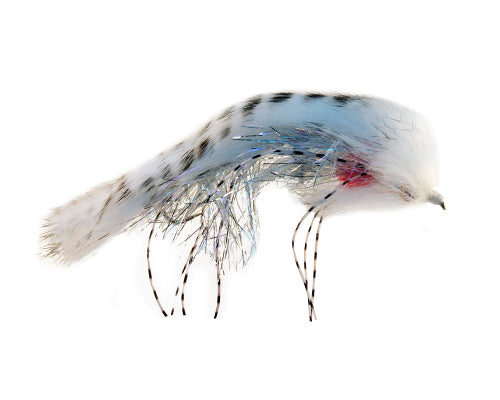Marcum's Butte Rat - White