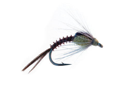Dunnigan's Soft Hackle - PMD
