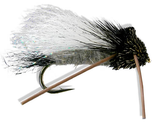 Tarantula - Black Head
#8-14