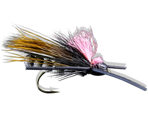 Rogue River Skwalla