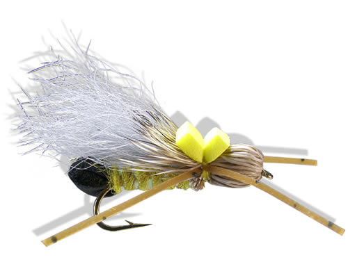 Bullethead Golden - Grey Wing
#10-12